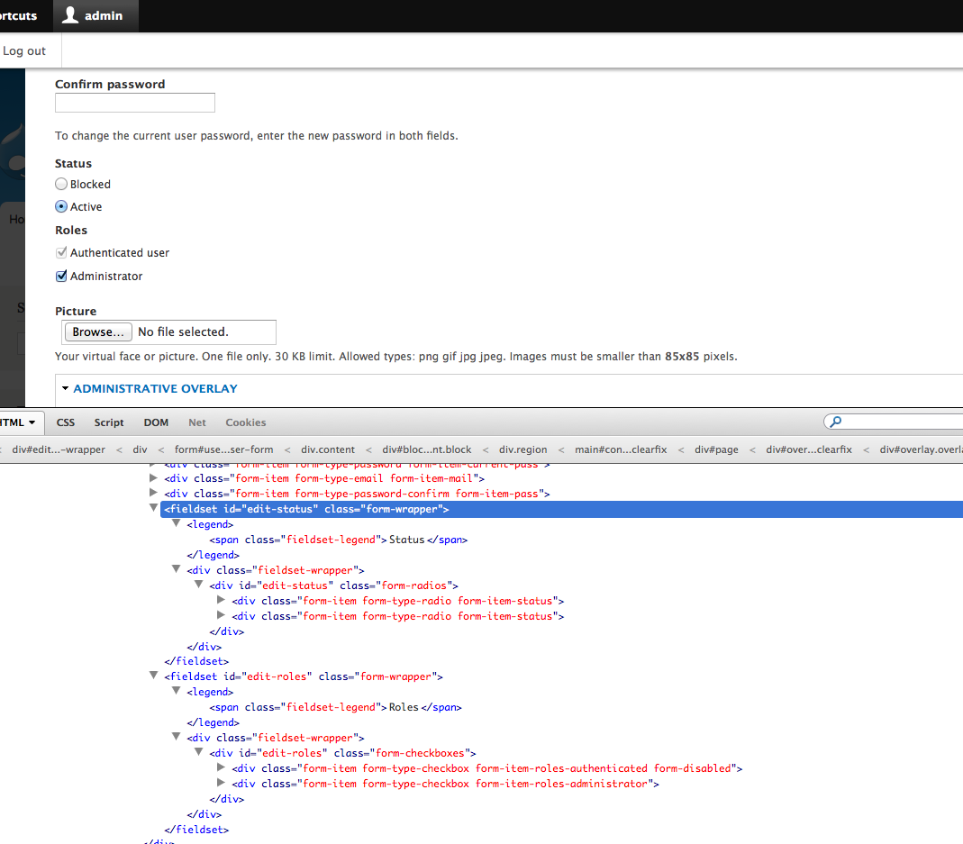 screenshot from user/1/edit with firebug